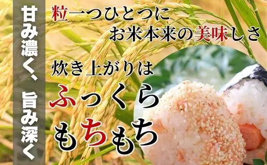 濃福米 5kg《福本商店》