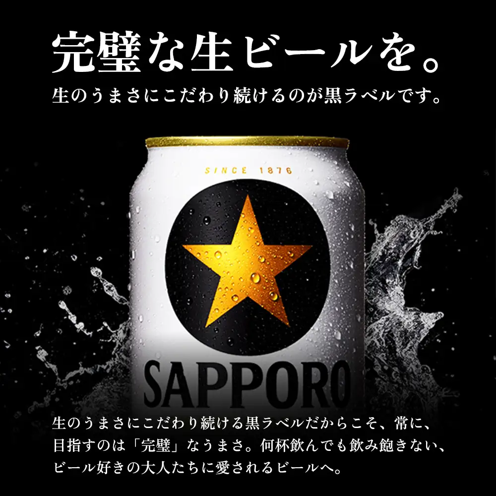 【定期便全3回】サッポロ黒ラベル500ml×24本【930050113903】