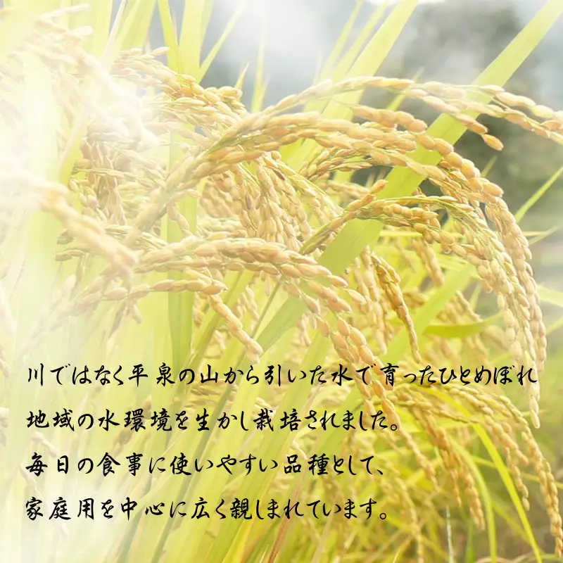 【先行予約受付中！】令和8年産 11月以降順次発送！ 平泉町産 奥州平泉黄金米 白米5kg / こめ コメ 米 お米 おこめ 白米 ご飯 ごはん ライス 山水【aoki011A】