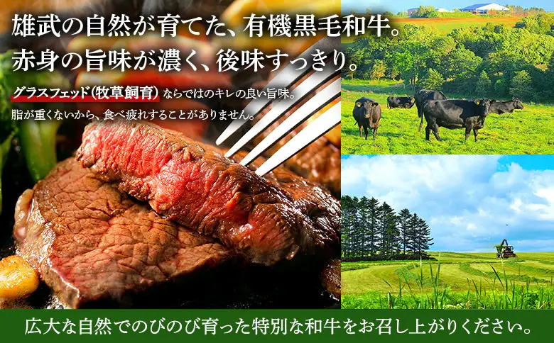【カラービーフ】黒毛和牛ハンバーグ（150gｘ2個）【01131】