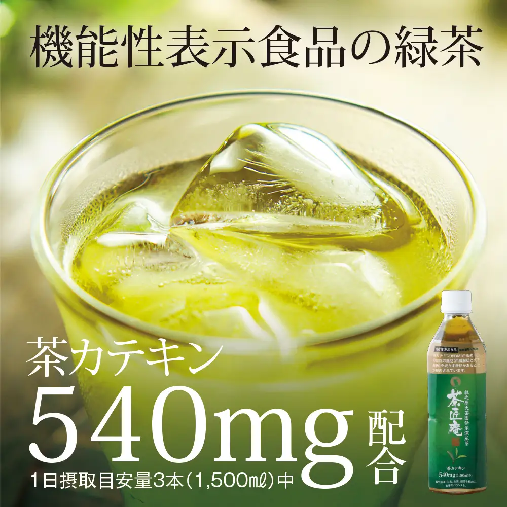 【 機能性表示食品 】 茶匠庵 緑茶ペットボトル 500ml×48本  静岡県 牧之原市 いなば園