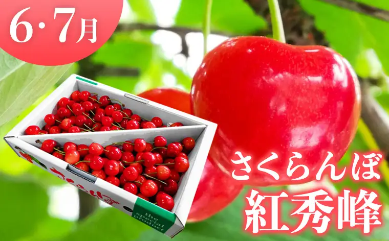 【定期便3回】やまがたフルーツ定期便 さくらんぼ /白桃/ラフランス FY26-075