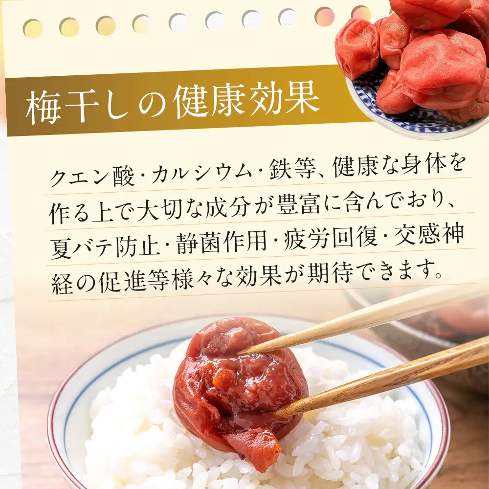 ＜訳あり＞宮城県角田産【無添加】まごころ手作り梅干し1.6kg（800g×2）｜梅干し 田舎の梅干し すっぱい 訳あり 梅干 うめぼし