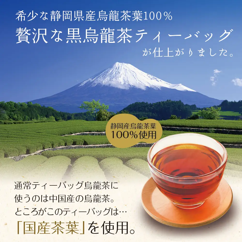 国産 黒烏龍茶ティーバッグ 2袋  いなば園 静岡県 牧之原市