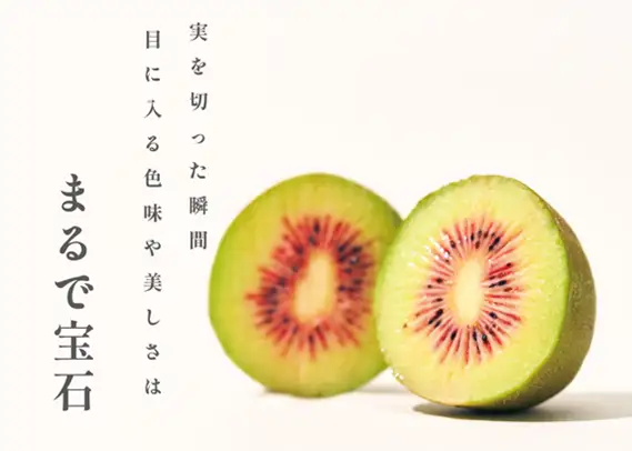 ＜先行予約2026年＞南アルプス市産 完熟レッドキウイ 800g(11~13個入)  ALPAL031