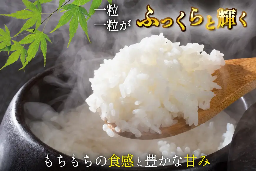 3回 定期便 米 宮城県産 とまたんのひとめぼれ 5kg 総計15kg [サンフレッシュ小泉農園 宮城県 気仙沼市 20566084]