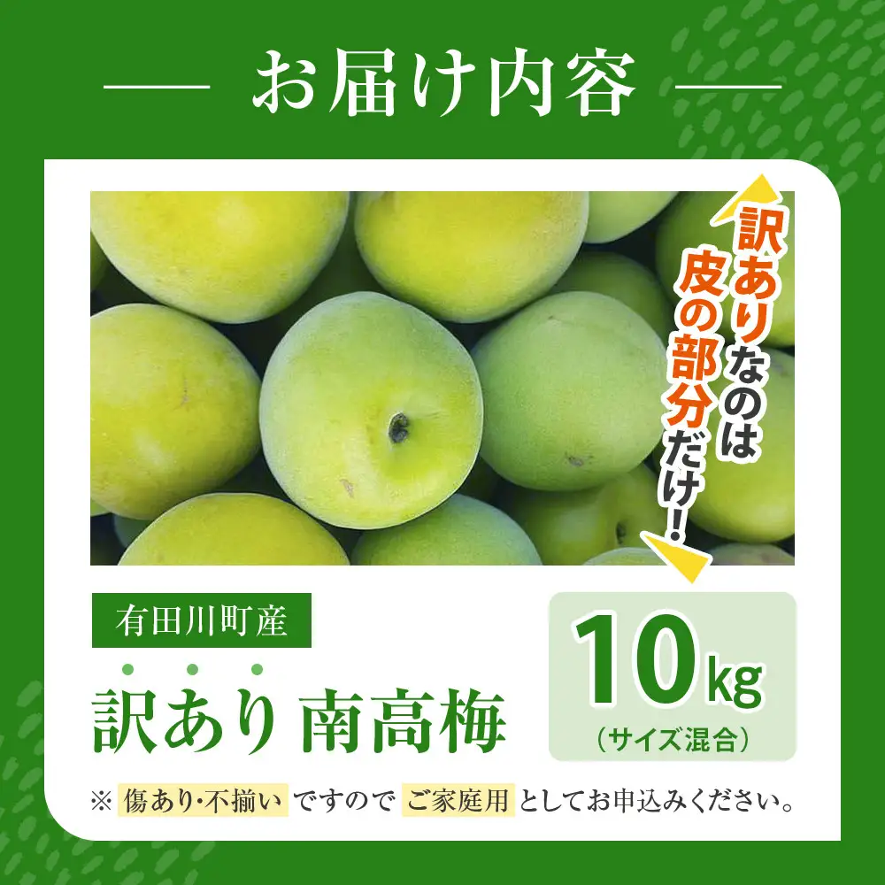 青梅 10kg 訳あり 紀州南高梅 シロップ・梅酒・梅干し用等 和歌山県有田産 2026年5月下旬～7月上旬発送予定