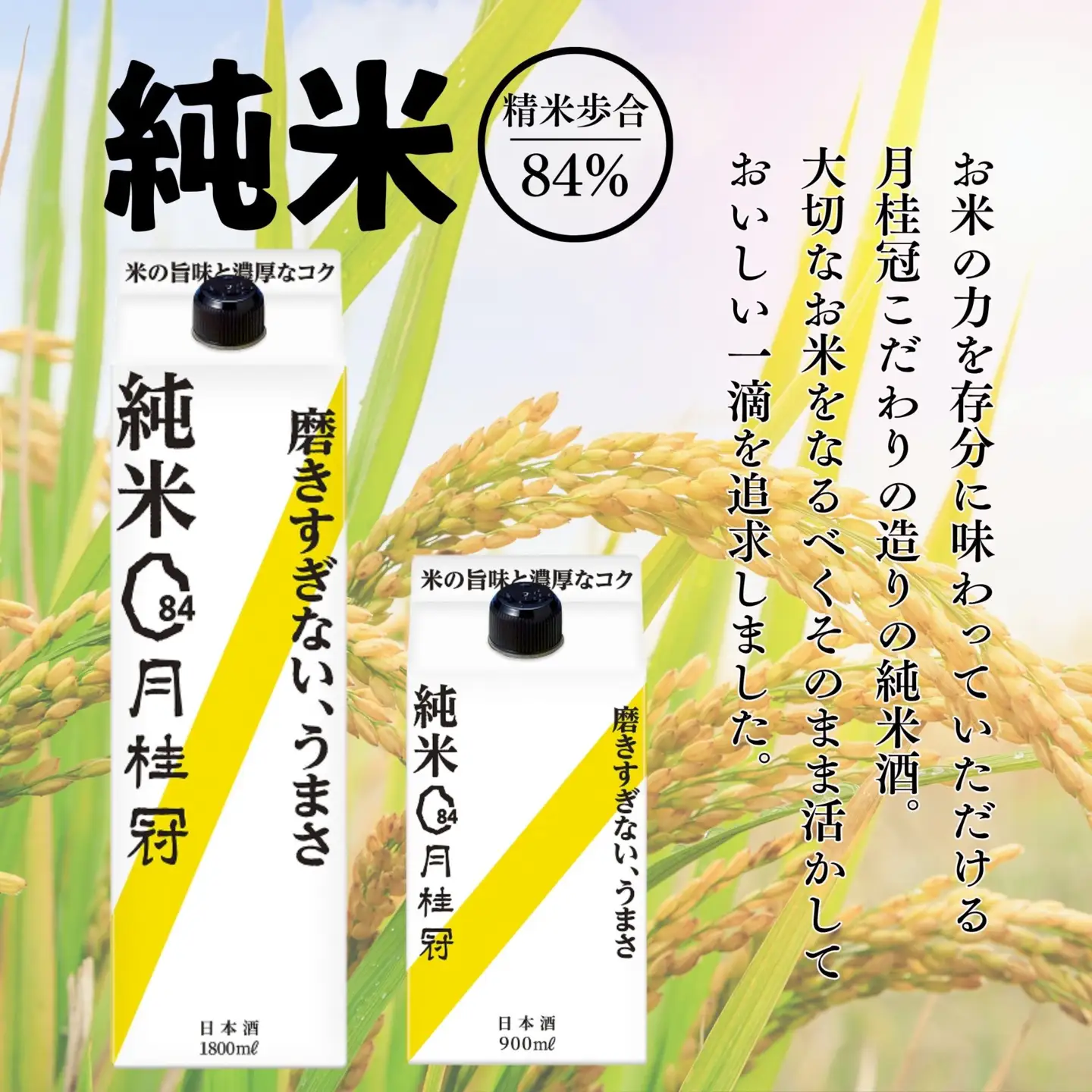【月桂冠】月桂冠純米パック900ｍL×6本｜京都 日本酒 人気 おすすめ