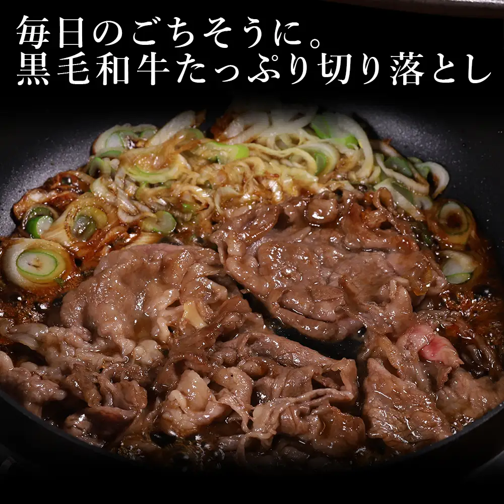 【ふるさと納税】 プレミアム 黒毛和牛 「和王」 切り落とし 1kg (500g×2パック) A4 A5 等級 和王 肉 牛肉 切り落とし 訳あり 冷凍 小分け 熊本県 水上村