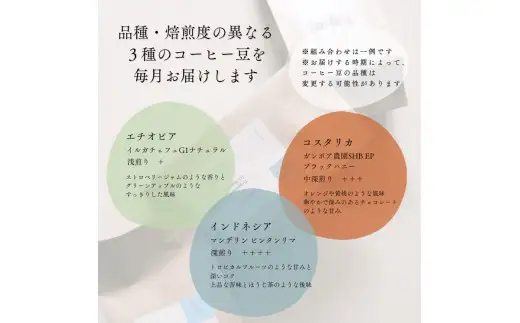 【定期便：12ヶ月連続でお届け】シングルオリジンコーヒー 100g × 3品種（豆）計300g×12ヶ月 1075026 コーヒー 珈琲 コーヒー豆