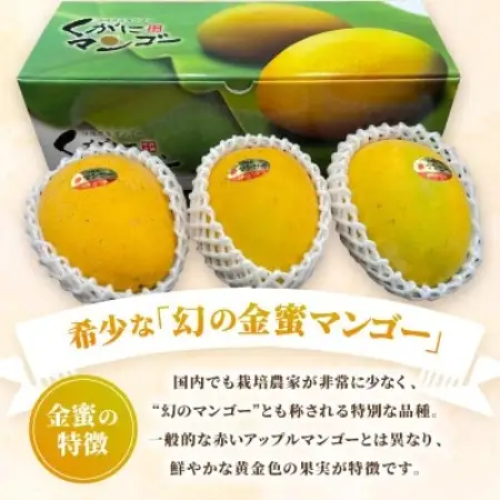 【2026年7月中旬から順次発送・訳あり】今帰仁産の幻の黄金マンゴー1kg(2～3玉)【配送不可地域：離島】【4014736】
