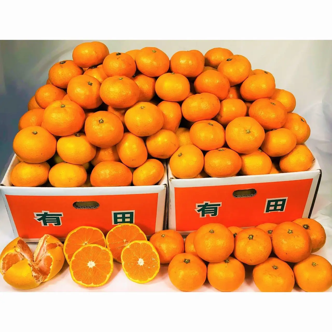 有田みかん 10kg (約89個～95個)