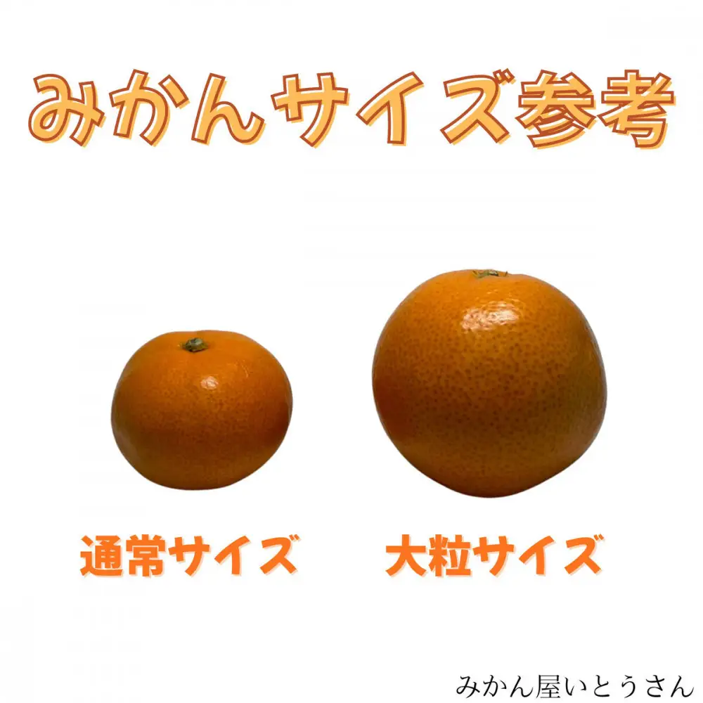 家庭用 大粒有田みかん 1kg (約7個～8個)