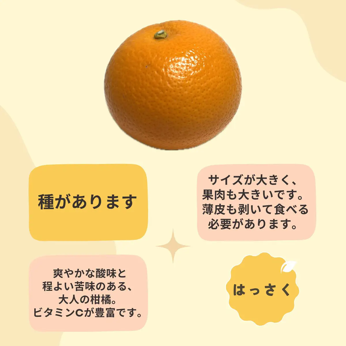 和歌山 有田 はっさく 5kg