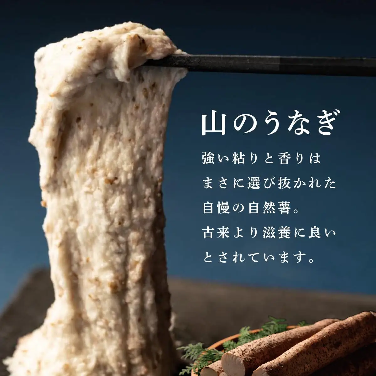 【先行予約】自然薯「九千部朱薯」600g～650g（2本）