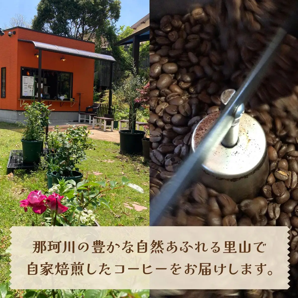 申込後に自家焙煎！魅惑のスペシャルティ コーヒー 4種セット【粉】1kg