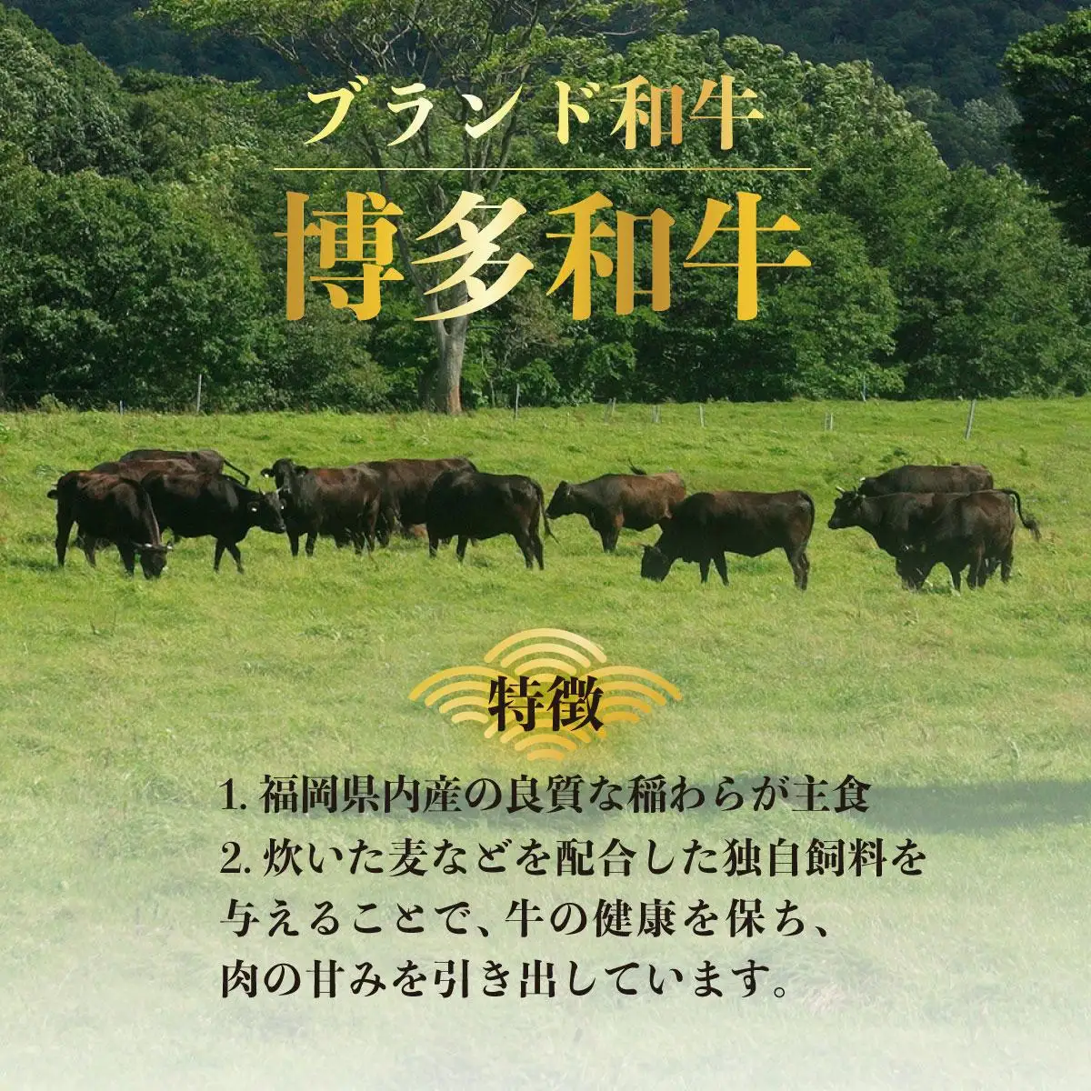 A5～A4等級！博多和牛 ヒレ シャトーブリアン 3枚（計450g）