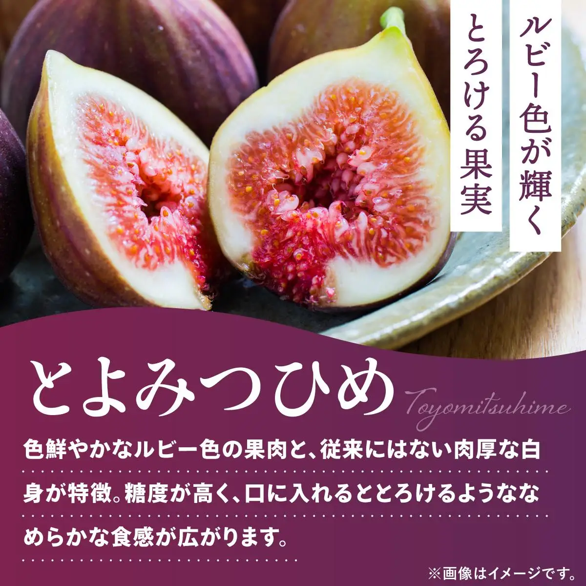 【先行予約】福岡県オリジナル品種 とよみつひめ 約1.2kg（2026年9月以降発送）