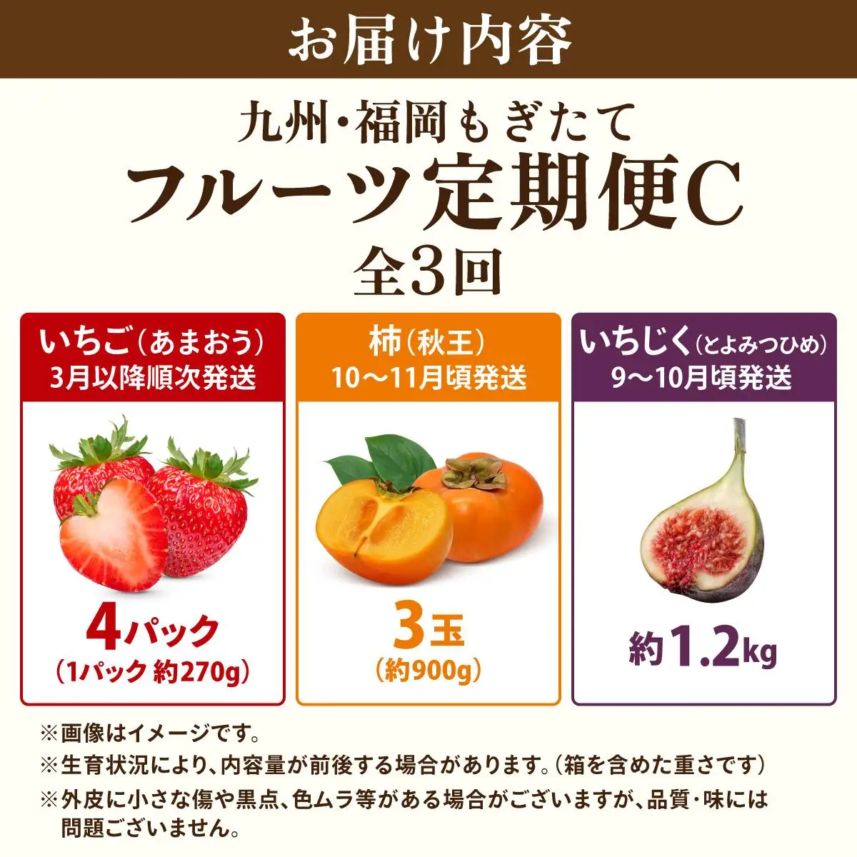 ＜定期便・全3回＞九州・福岡もぎたて フルーツ定期便 C