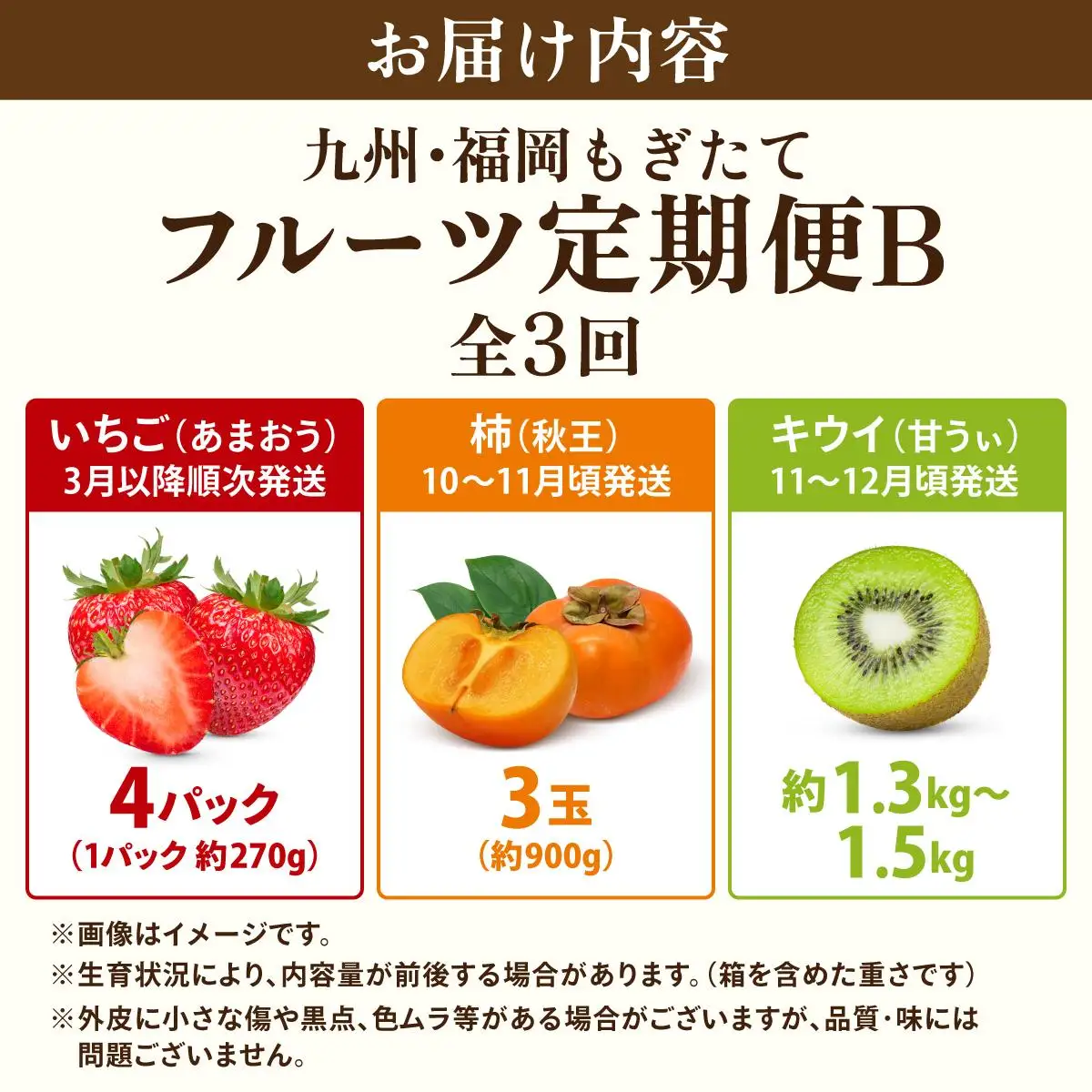 ＜定期便・全3回＞九州・福岡もぎたて フルーツ定期便 B