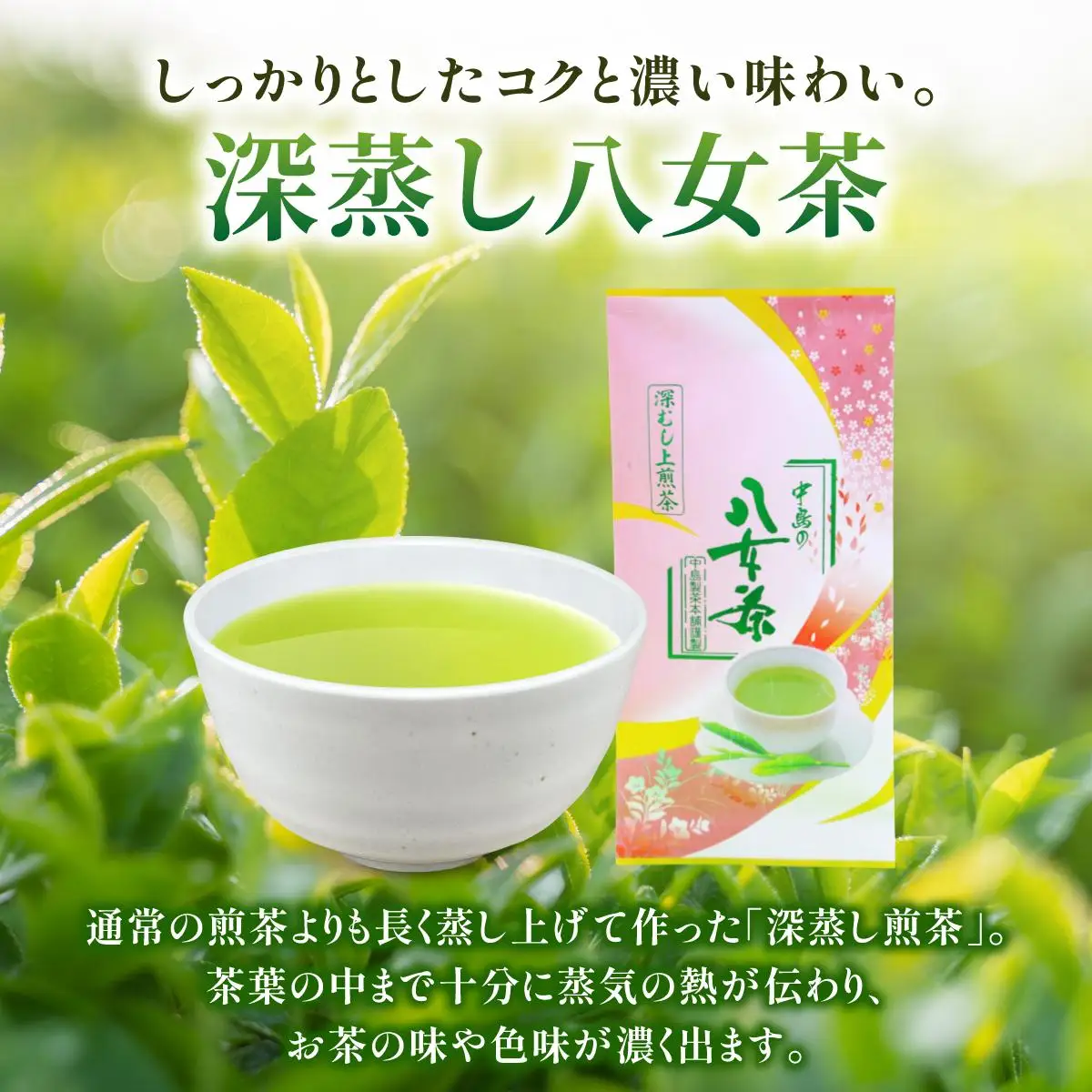 産地直送！八女茶 中島製茶本舗 八女茶 深蒸し 上煎茶 200g