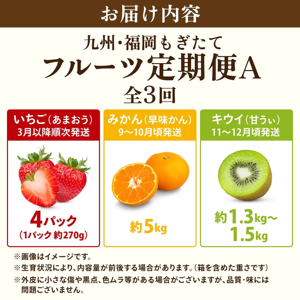 ＜定期便・全3回＞九州・福岡もぎたて フルーツ定期便 A