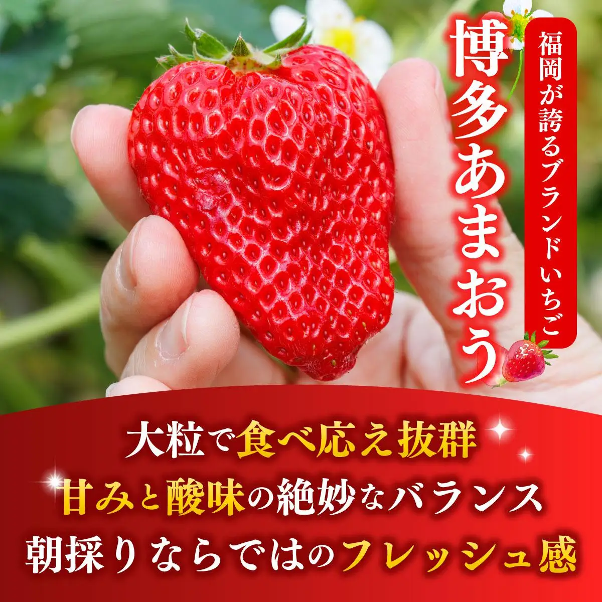 福岡県産 博多冷凍あまおう 約500g×4袋 合計約2kg