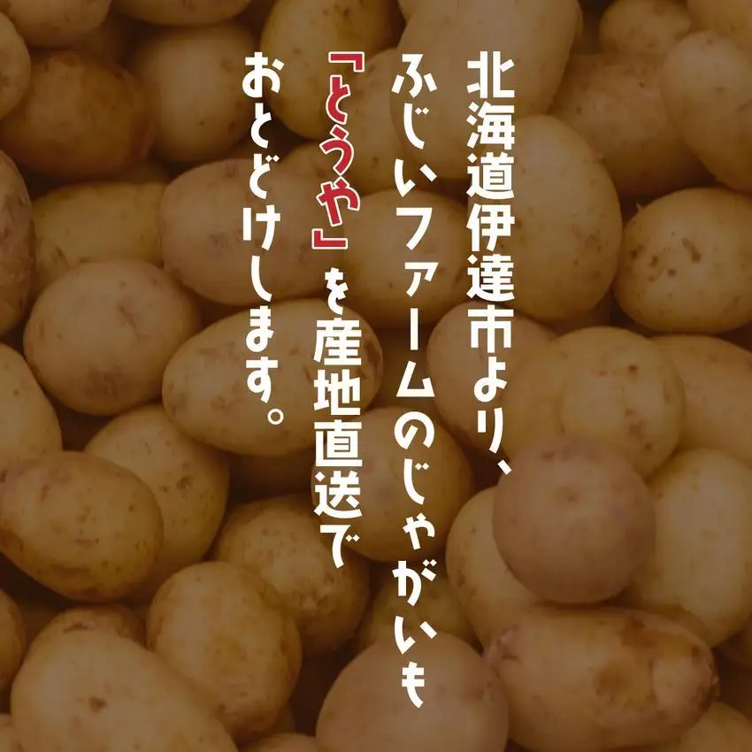 ＜先行予約＞北海道産 じゃがいも(とうや) 約10kg【hjf-004】