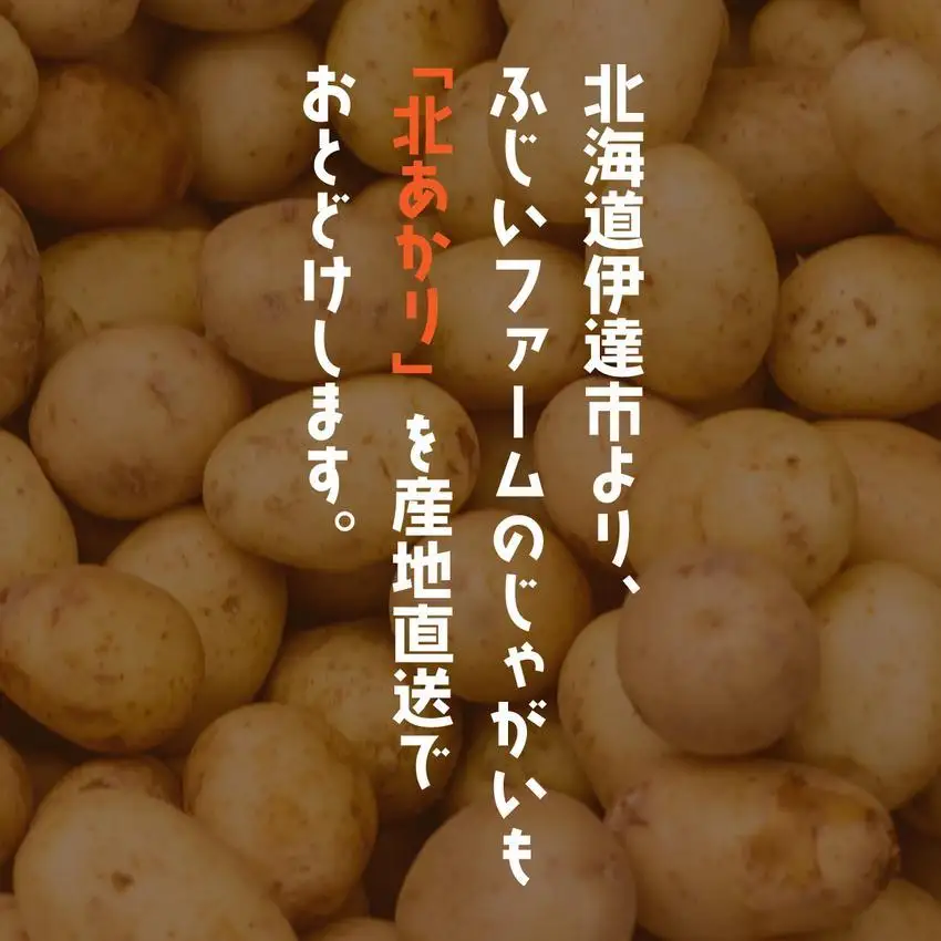 ＜先行予約＞北海道産 じゃがいも(北あかり) 約10kg【hjf-006】