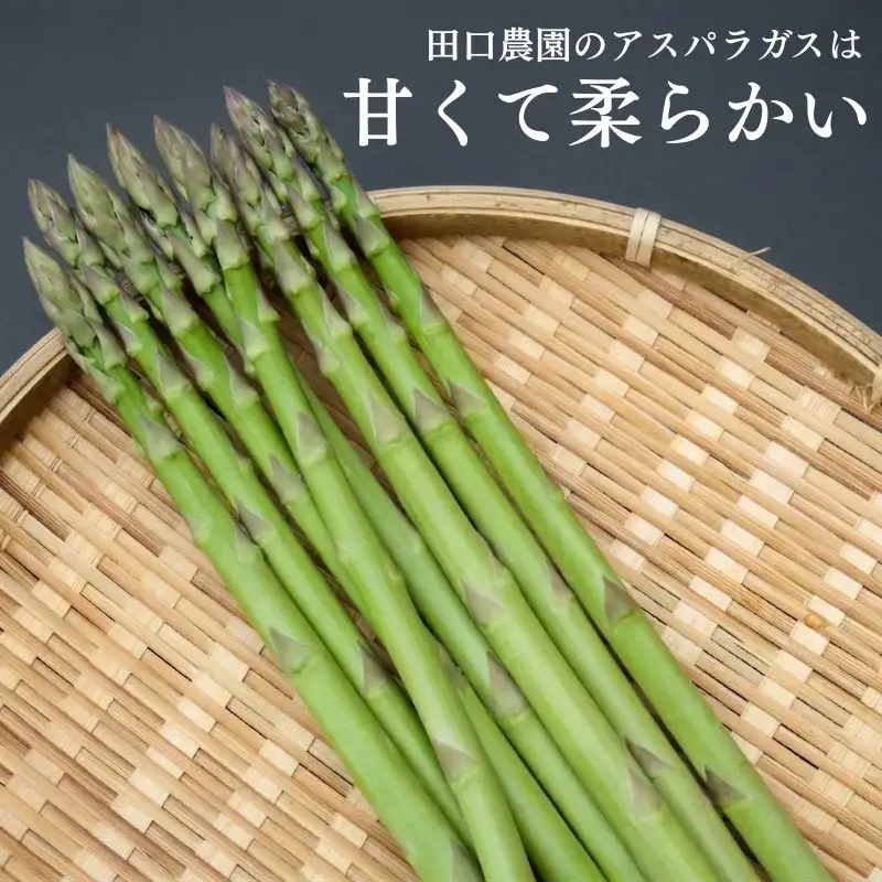 アスパラガス 1kg M～Lサイズ 京都 久御山 朝採り 先行予約 夏芽 アスパラガス