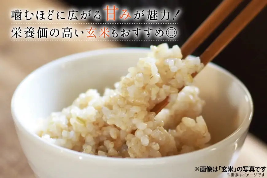 米 定期便 ひゃくまん穀「弘宝米」 玄米 30kg ×3回 総計 90kg [中西農場 石川県 宝達志水町 38601376]