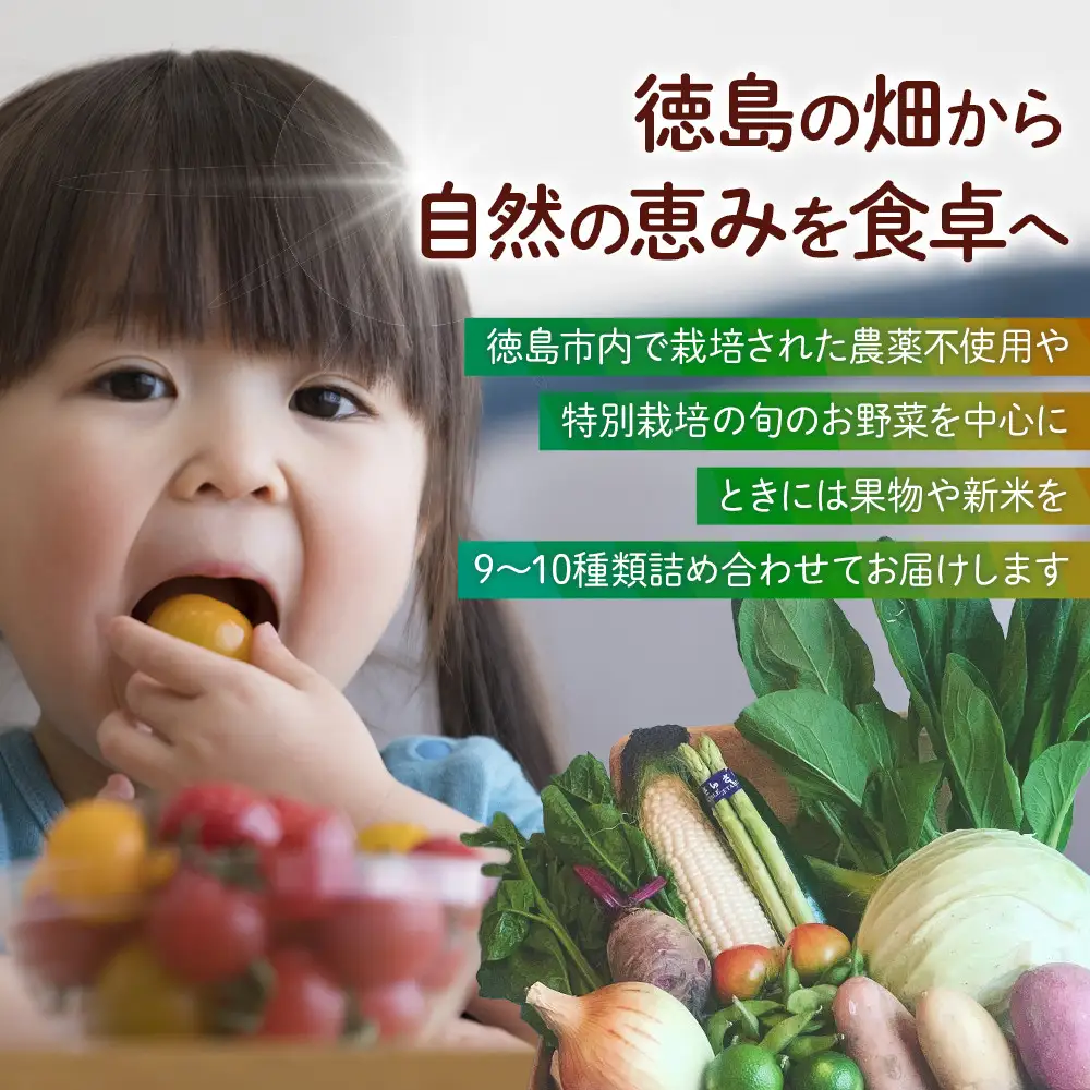 【全5回定期便】野菜セット 旬の野菜 （9~10種類)