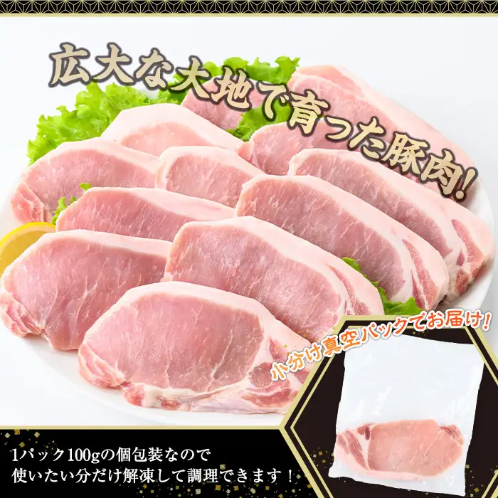 鹿児島県産 豚肉 ロース とんかつ (計2kg・100g×20P) 【株式会社羽根】A1082