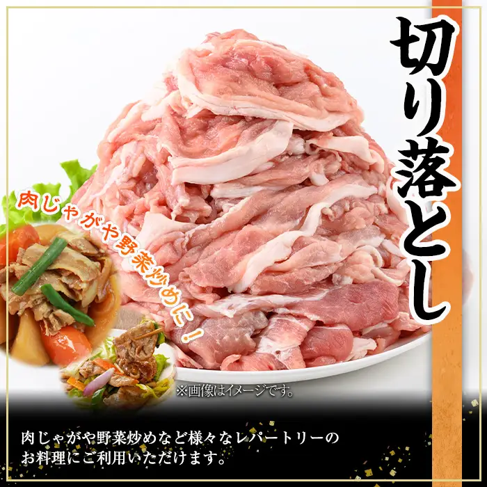 鹿児島県産 豚肉 切り落とし (計2.5kg・250g×10P)【株式会社羽根】A1087