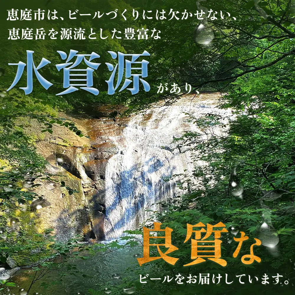 【ビール飲み比べ2種各350ml×24本】サッポロクラシックとヱビスビール【93001000180021】
