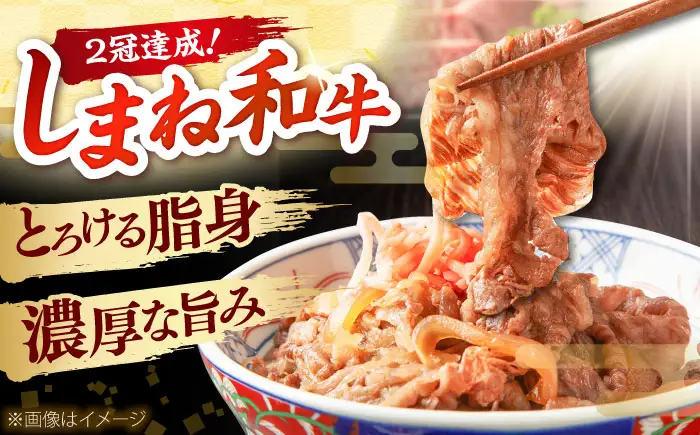 しまね和牛 切り落とし 1kg 和牛 牛肉 スライス / 島根県雲南市 / フジキコーポレーション株式会社[AIEA001]
