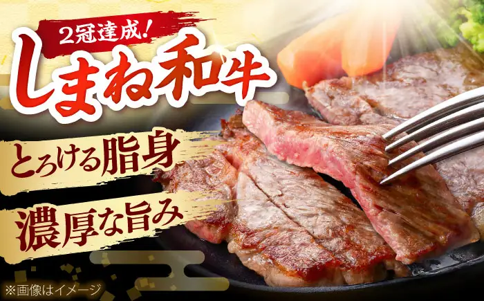 しまね和牛 サーロインステーキ200ｇｘ1枚 和牛 牛肉 ステーキ / 島根県雲南市 / フジキコーポーレーション株式会社[AIEA004]