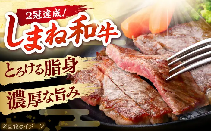 しまね和牛 サーロインステーキ200ｇｘ3枚 和牛 牛肉 ステーキ / 島根県雲南市 / フジキコーポーレーション株式会社[AIEA005]