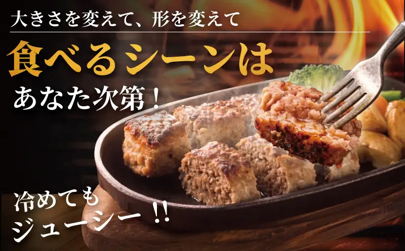 ハンバーグ20個 (4個入×5セット)計2kg  はんばーぐ 株式会社タカギフーズ