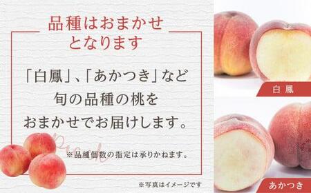7月下旬～8月中旬 飛騨桃 約2.7kg（9～11個）| 桃 山本果樹園 MA013