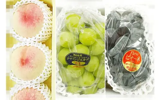 【 全3回定期便 】 岡山県産 フルーツ定期便 ＜ お一人様向け ＞ 白桃 ニューピオーネ シャインマスカット 晴王 果物 くだもの 果実 フルーツ 国産 ぶどう ブドウ 葡萄 もも 桃 モモ 梨 なし ナシ 化粧箱 【 2026年7月上旬～9月下旬迄発送予定 】