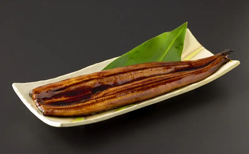 【 全6回 定期便 】 鹿児島産 うなぎ 蒲焼 170g×3尾 清らかな 地下水 育ち！ KN021-T30 ウナギ 鰻 冷凍