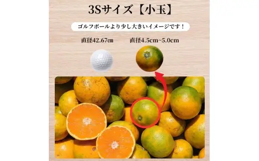 ゆら早生 みかん  ≪小玉≫ 4.5kg (3Sサイズ)  / みかん 小玉サイズ 甘い 蜜柑 フルーツ 果物 くだもの 食品 人気 晩柑 おすすめ 送料無料 産地直送 和歌山 由良町 ※2026年10月中旬頃~2026年10月下旬頃に順次発送予定【kzmn003-3s-4d5A】