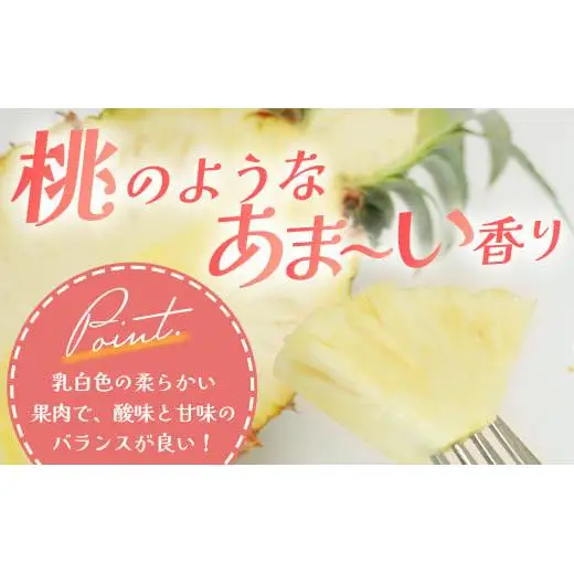 【先行予約】石垣島産 ピーチパイン 3玉 約2.7kg