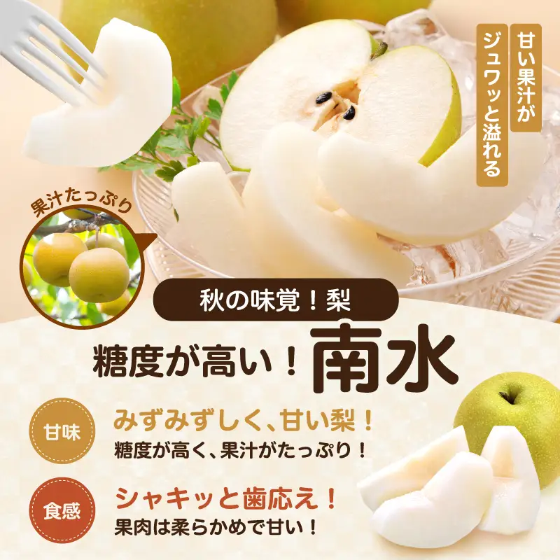 梨 ナシ 信州 上伊那産 贈答用 南水 約4kg (8～12玉) 長野県 伊那市 【017-28】