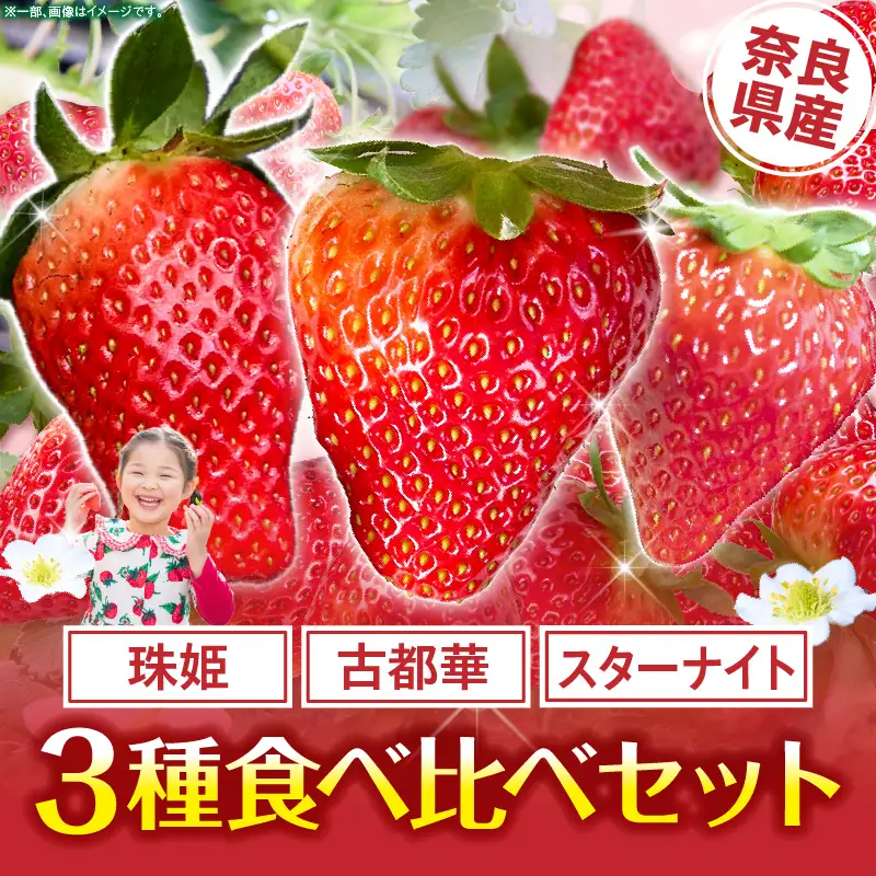 【2027年1月～2027年3月上旬発送】「奈良県産いちご3種セット」化粧箱入りいちご 食べ比べ いちご イチゴ 苺 古都華 珠姫 スターナイト 化粧箱 生駒いちご園 果物 フルーツ デザート 贈り物 お取り寄せ お取り寄せフルーツ 奈良県 生駒市 送料無料