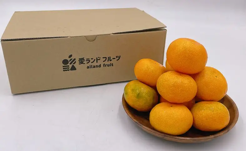 ハウスみかん ご家庭用 2kg 【7月下旬から順次発送予定】 みかん 人気 数量限定 柑橘 愛媛 伊予市｜B547