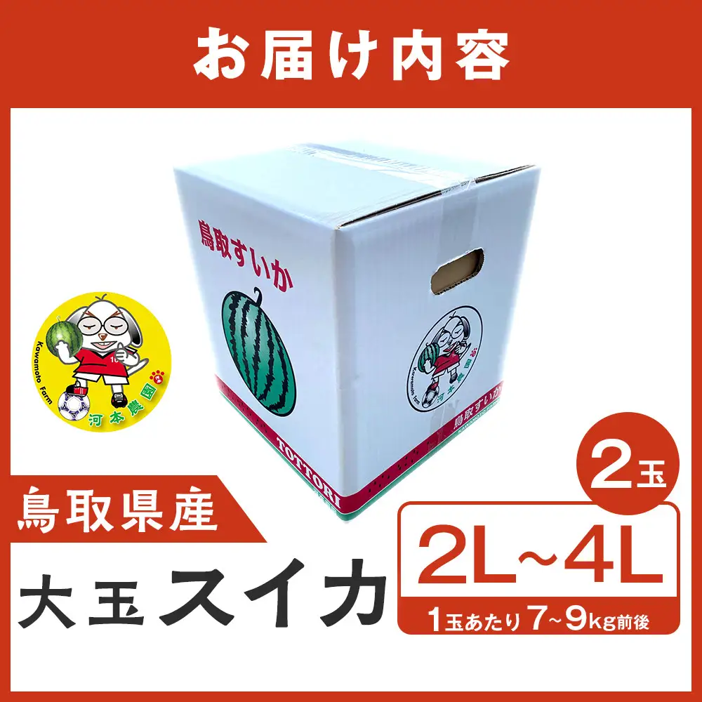 【先行予約】鳥取県北栄町産 大玉スイカ(2玉セット)１玉あたり7-9キロ前後2L-4Lサイズ（こちらの返礼品は、大栄西瓜ではありません） スイカ