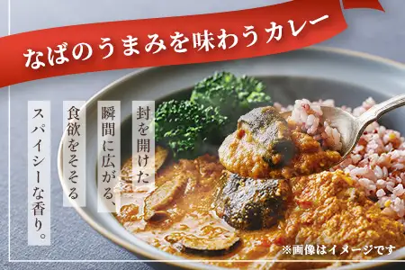 NABA バターチキンカレー 4食 セット 常温｜カレー レトルトカレー カレーライス なば しいたけ 椎茸 レトルト 簡単調理 常備 備蓄 おかず アレンジ 家庭用もろっこはうす 宮崎県 諸塚村 MO-35