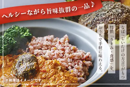 NABAカレー バターチキンカレー＆ハンバーグアンチョビソース掛け セット 2種各2食 計4食 常温｜レトルトカレー カレーライス なば しいたけ 椎茸 ハンバーグ アンチョビ レトルト 簡単調理 常備 備蓄 おかず アレンジ 家庭用もろっこはうす 宮崎県 諸塚村 MO-37
